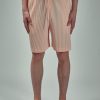 Korte Broeken | Homme Plissé Issey Miyake Color Pleats Bottoms